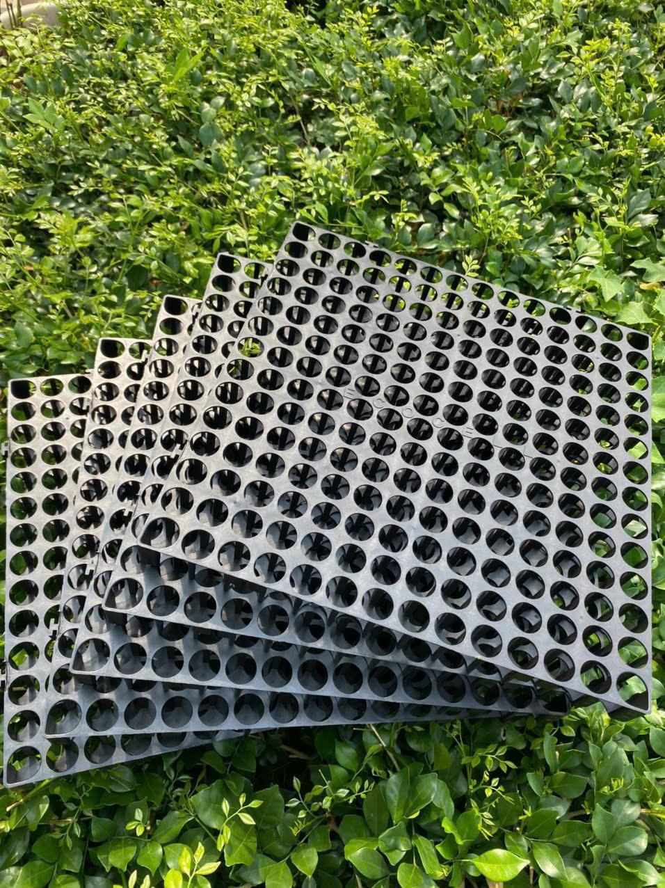 Vỉ nhựa thoát nước trồng cây giúp ban công luôn khô ráo và cây phát triển khỏe mạnh